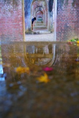 ひょっこりハン