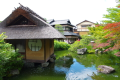 穴場