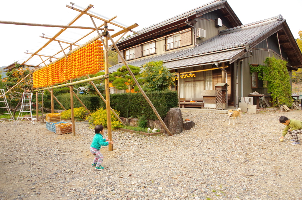 干し柿の里