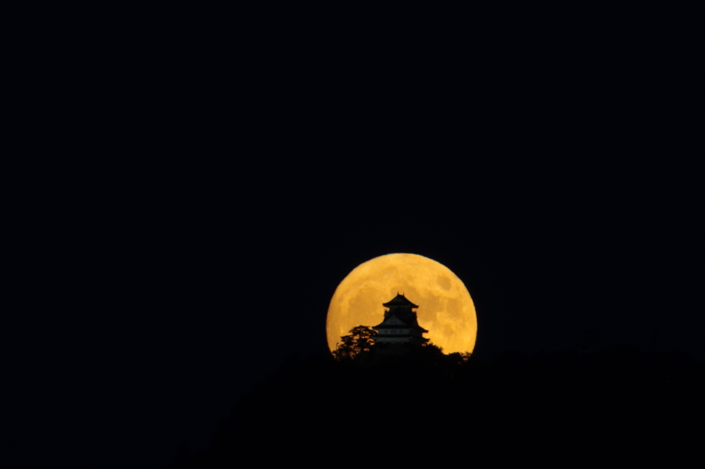 中秋の名月