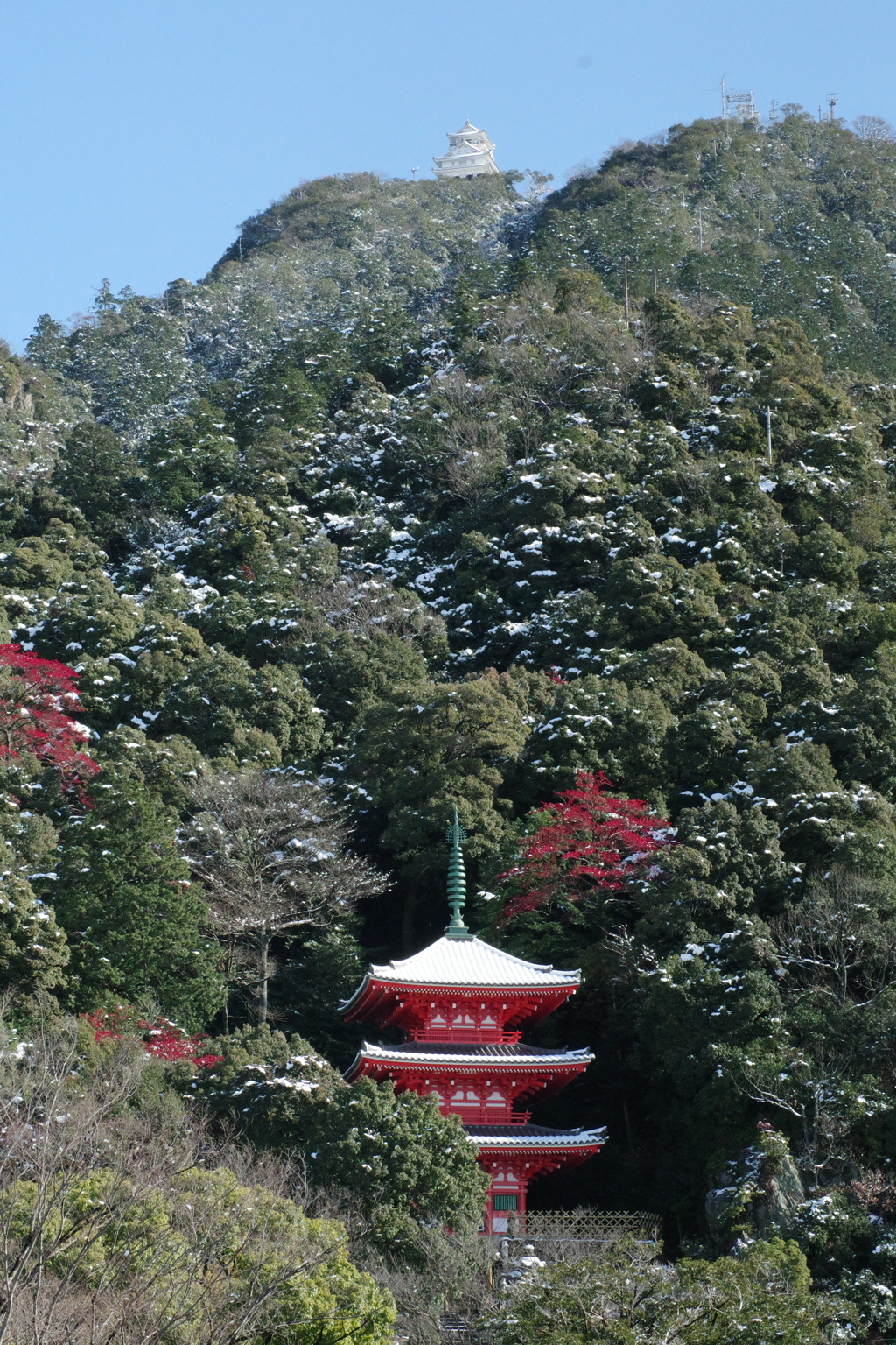 白い岐阜城