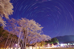 淡墨桜と星空