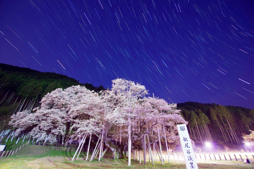 星降る根尾谷の里