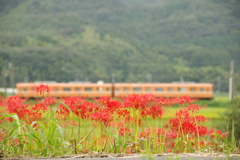 養老鉄道