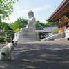 猫寺