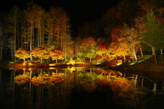 紅葉