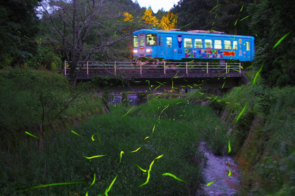 蛍鉄道