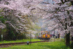 桜咲く駅～2