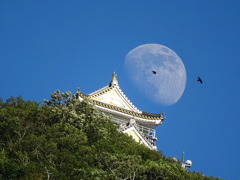 岐阜城・月・カラス