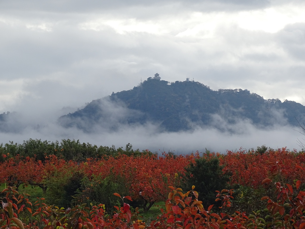 紅葉・城・雲