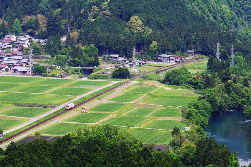 新緑の高科俯瞰