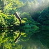 松尾池