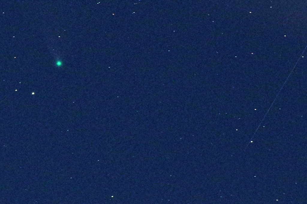 ネオワイズ彗星