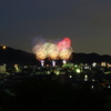 長良川の花火大会