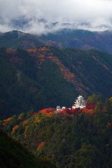 郡上八幡城