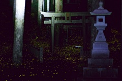 姫蛍神社