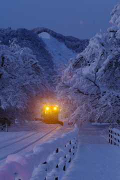樽見鉄道雪景色