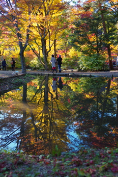 曾木公園