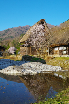 雪解け