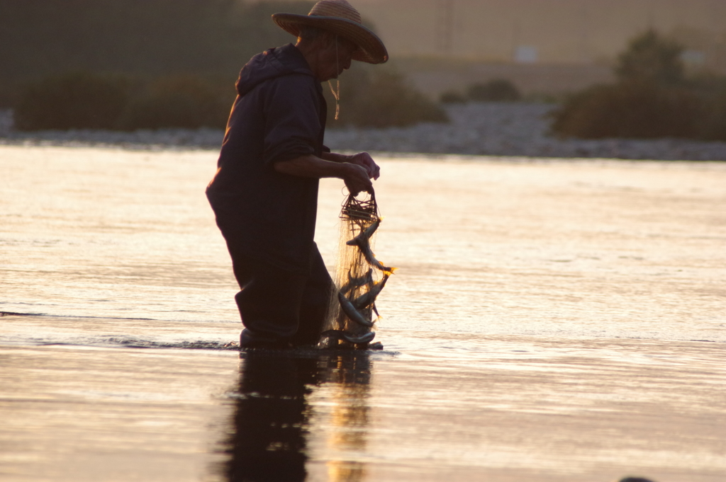 長良川の投網漁～大漁
