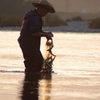 長良川の投網漁～大漁