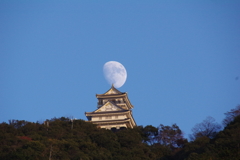 岐阜城と月
