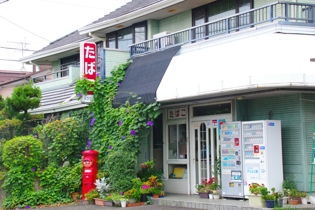 よつつじや