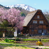 白川郷の春