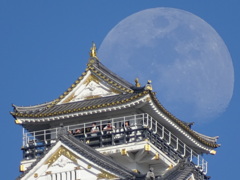 白い月