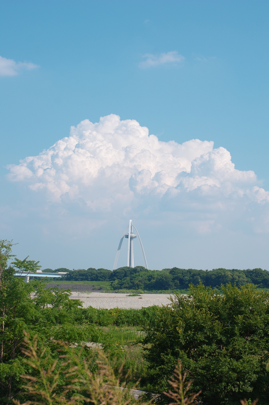 夏の雲