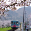 桜咲く駅～3