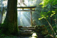 神々しい光