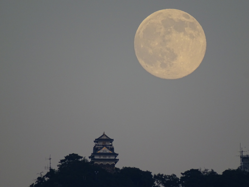 岐阜城と月