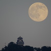岐阜城と月