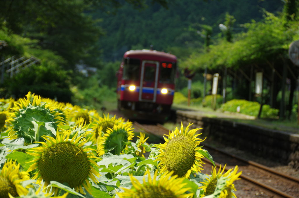 長良川鉄道
