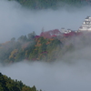 雲海にうく