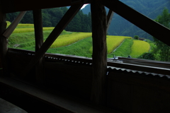 棚田