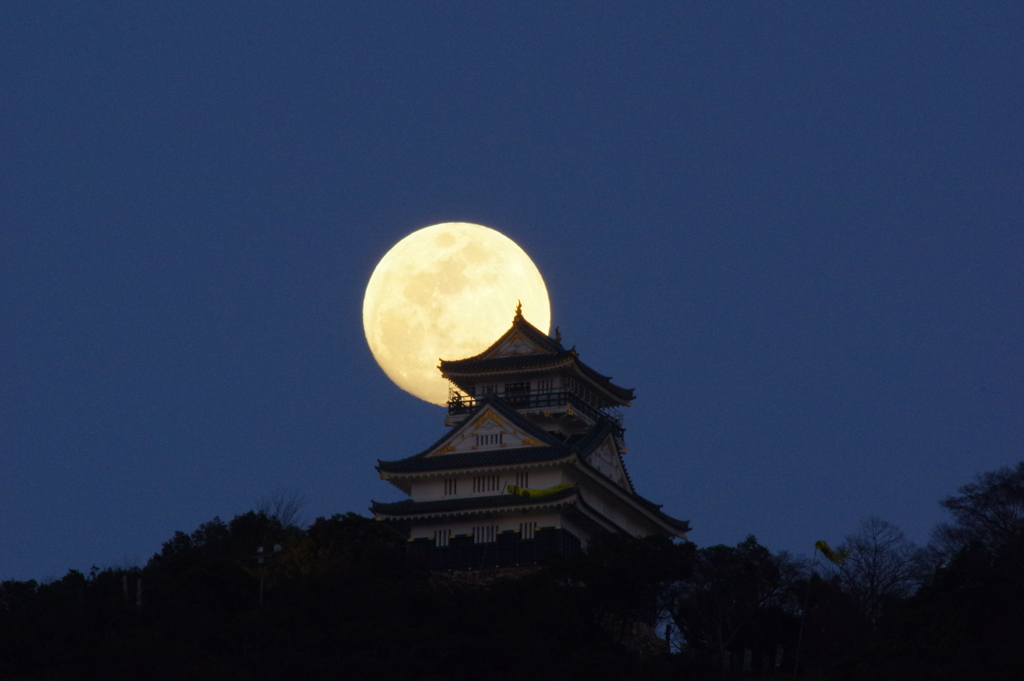 月を追いかけて