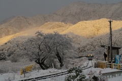 樽見鉄道雪景色