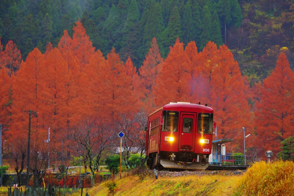 長良川鉄道