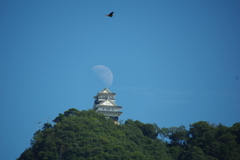 城と鳥