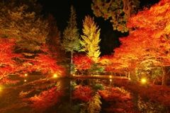 紅葉のライトアップ