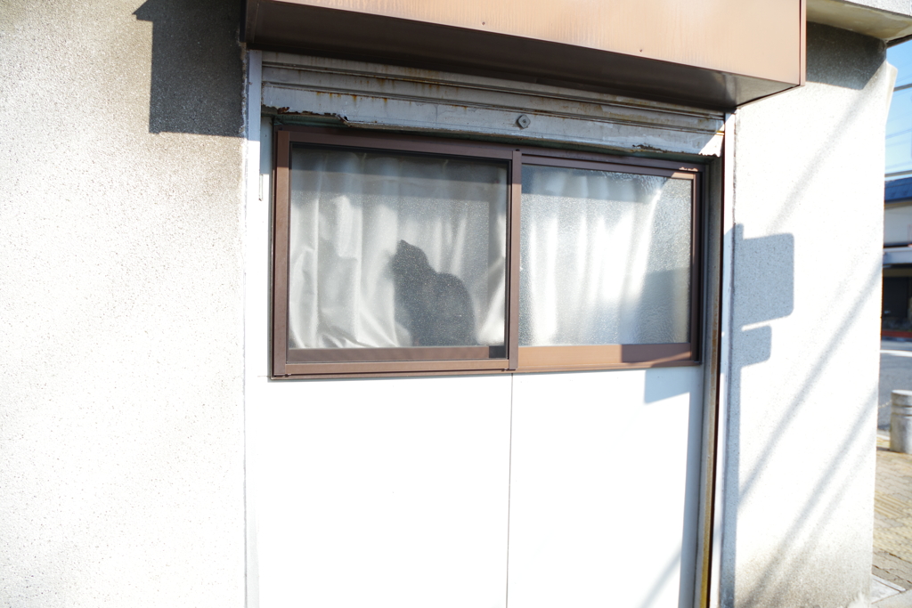 お気に入り