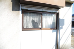 お気に入り