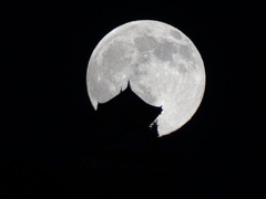岐阜城と月