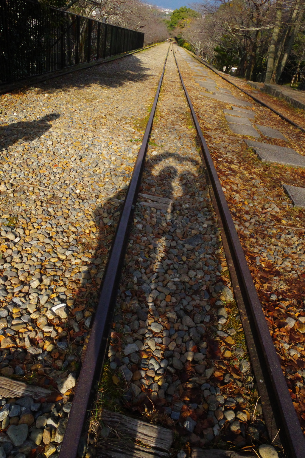 久しぶりの京都