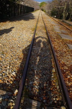 久しぶりの京都