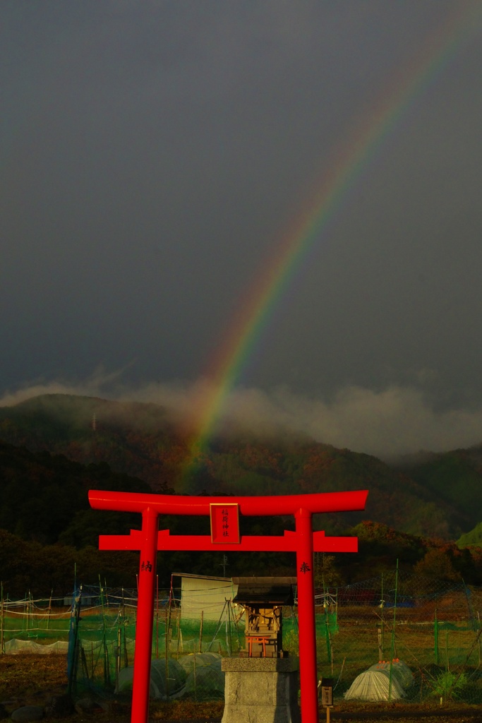 虹