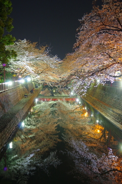 奥の細道むすびの地