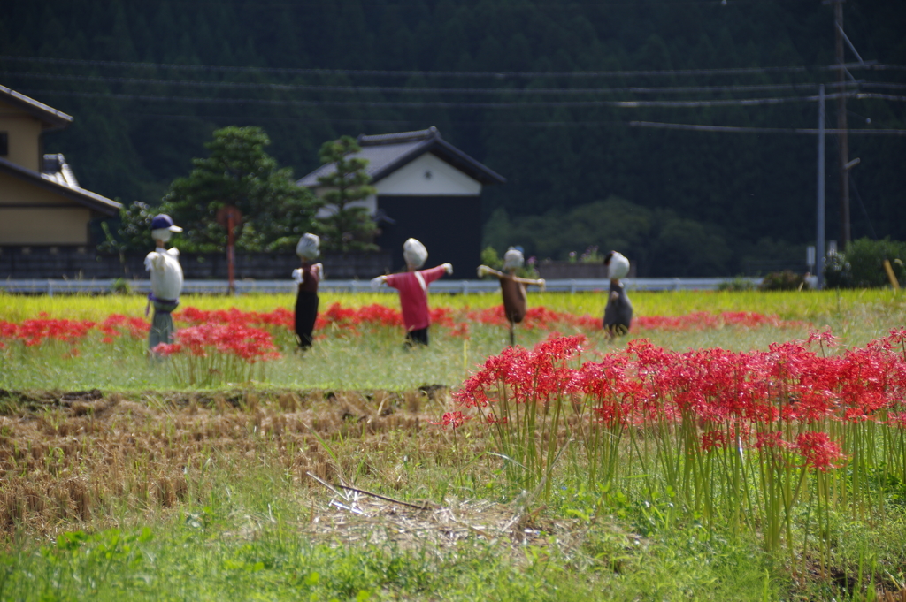 お役御免